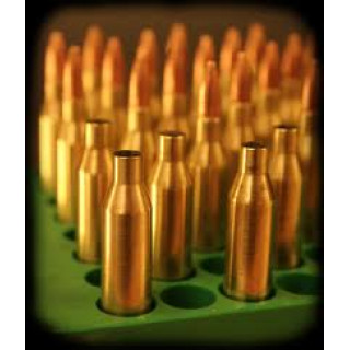 Bullet Cases (0)